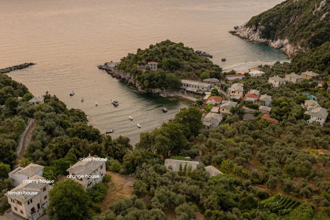 Olive House In Damouchari With A Sea View - Delicious Houses 外观 照片