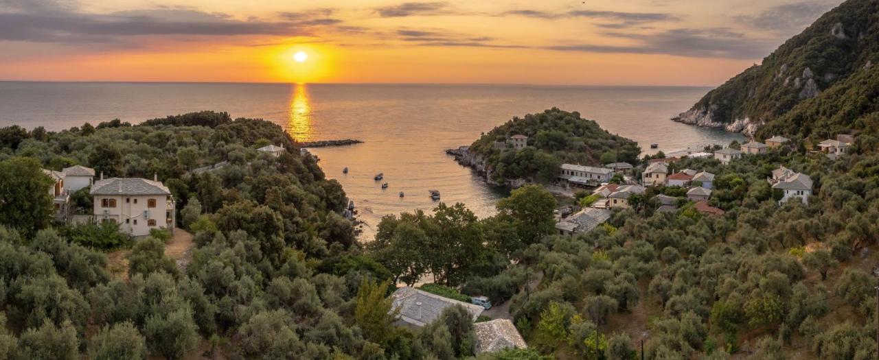 Olive House In Damouchari With A Sea View - Delicious Houses 外观 照片